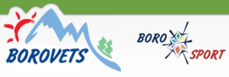Boro Sport ski logo