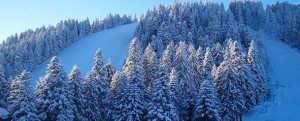 Borovets Rila view