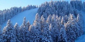 Borovets Rila view