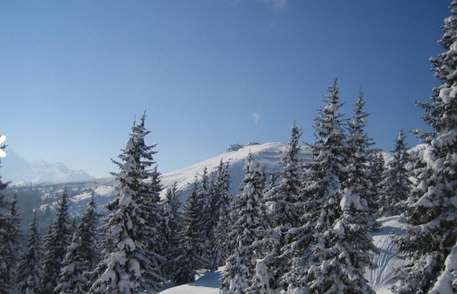 Victoria Hotel, Borovets, Bulgaria - mountain